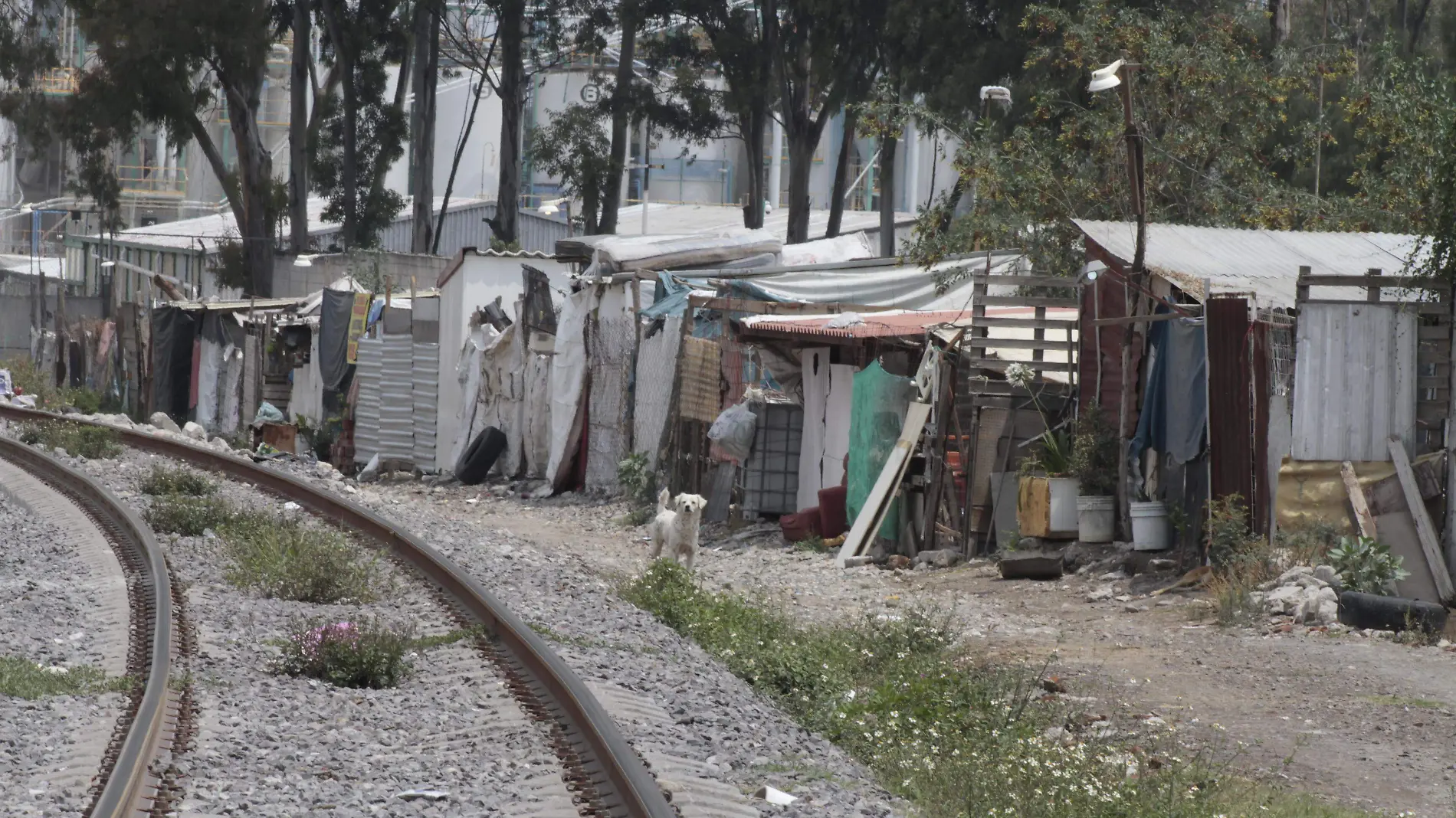 Pese a lo peligroso, familias se establecen cerca de las vías del tren